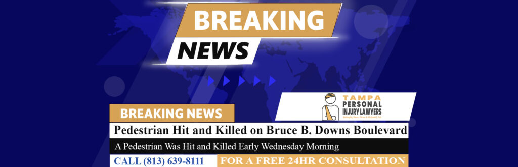 [07-25-24] Pedestrian Hit and Killed on Bruce B. Downs Boulevard